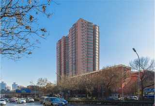 汕尾养生龟苓膏厂家推荐