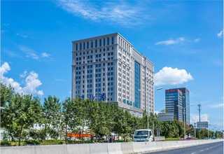 江苏比较好的宠物休闲食品欢迎选购